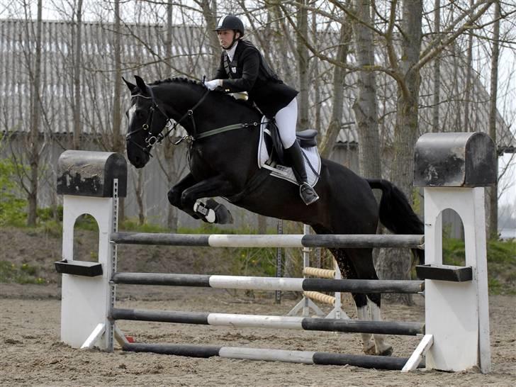 Oldenborg Kyllingegårdens Bubber - Stævne Vestegnen april 2008 billede 3