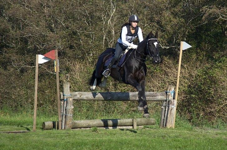 Oldenborg Kyllingegårdens Bubber - CNC90 Søgborggård okt. 2010 foto: Fuzz billede 4