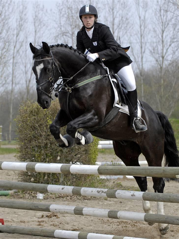 Oldenborg Kyllingegårdens Bubber - Stævne Vestegnen april 2008 billede 6