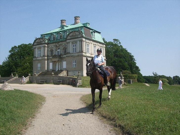 Oldenborg Kyllingegårdens Bubber - Min mor og Bubber til Københavnerridtet 2010 - fuldført og med dagens laveste slutpuls:) billede 7