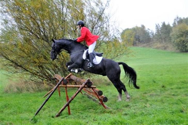 Oldenborg Kyllingegårdens Bubber - Jagten i Hedeland den 5.oktober - elsker ham så meget:) billede 8
