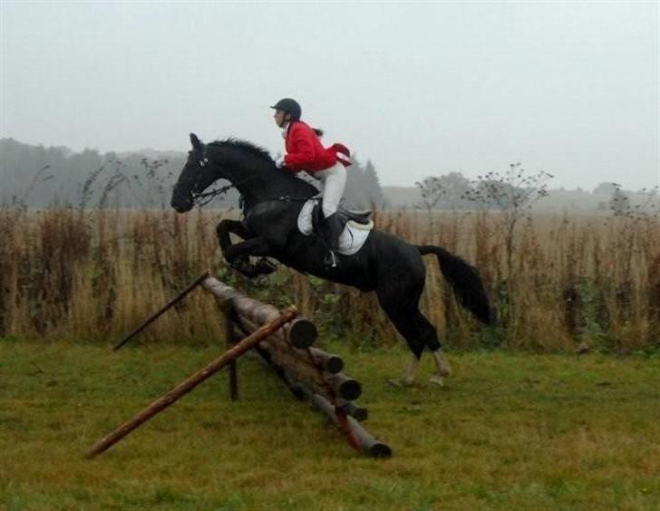 Oldenborg Kyllingegårdens Bubber - Rævehalejagten Ledreborg 2009 billede 9