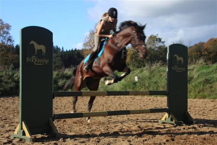 Anden særlig race De Light - lad være at ødelægge min tro på at vi kan flyve <3 billede 2