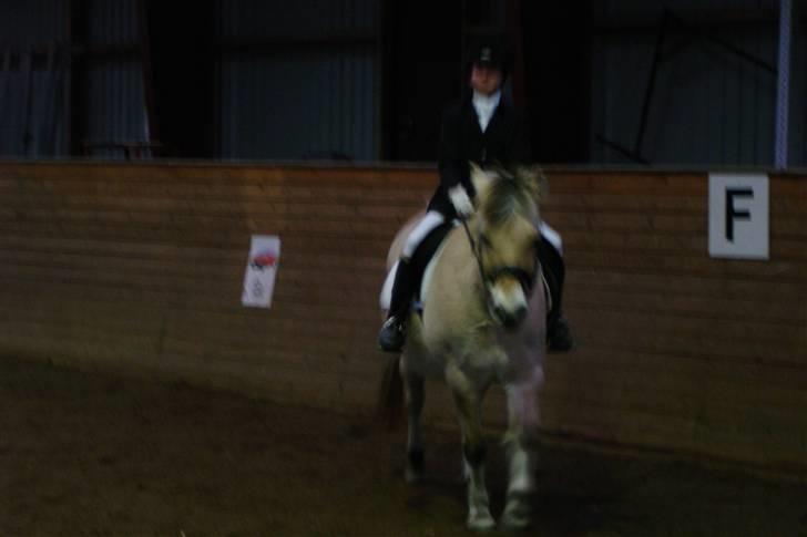 Fjordhest Nikki boy !<3 #Halvpart# - Ridder klubstævne 2004. Lx billede 6