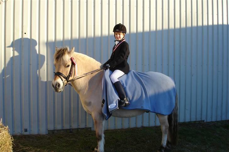 Fjordhest Nikki boy !<3 #Halvpart# - billede efter sejer i Lx :) billede 7