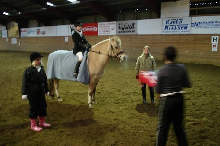 Fjordhest Nikki boy !<3 #Halvpart# - Præmie-overrækkelse i Lx :) Vi vandt xD billede 8