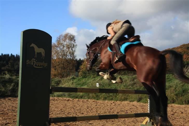 Anden særlig race De Light - Vvi springer da der er fotograf, ser det ikke fedt ud? :D billede 4