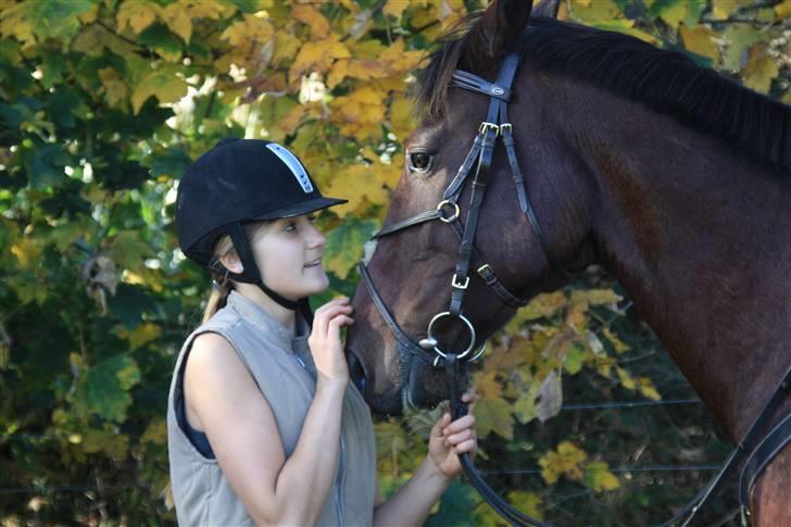 Anden særlig race De Light - jeg kalder det bare kærlighed<3 billede 5