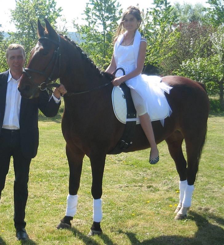 Anden særlig race De Light - Han ville ikk stå stille, synes han er så fin ;D billede 6