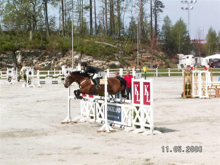 Anden særlig race Lukaschi *R.I.P* - Baltic cup i Norge:D billede 2