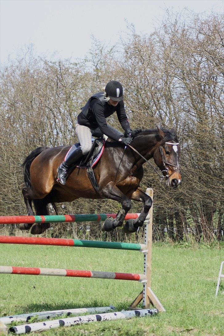 Oldenborg zita - 140 cm.. :D billede 1