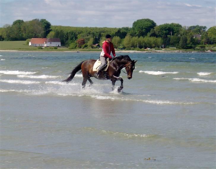 Oldenborg zita billede 2