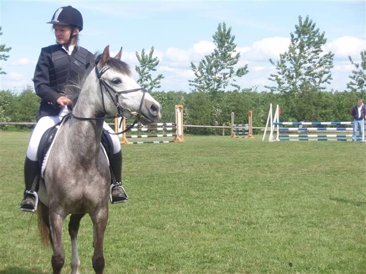 Sportsaraber (A) Miss Light billede 8