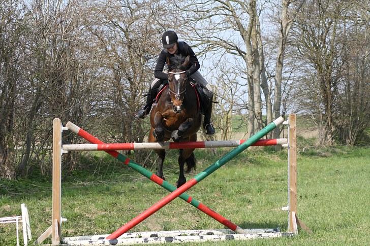 Oldenborg zita billede 3