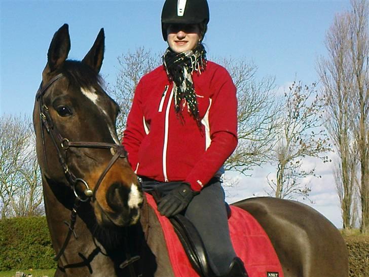 Oldenborg zita - nyt  billede 4