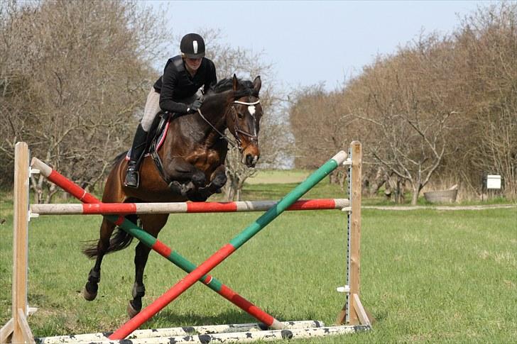 Oldenborg zita - 135.. billede 6