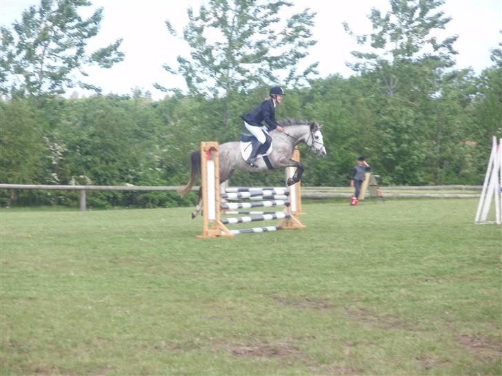 Sportsaraber (A) Miss Light billede 9