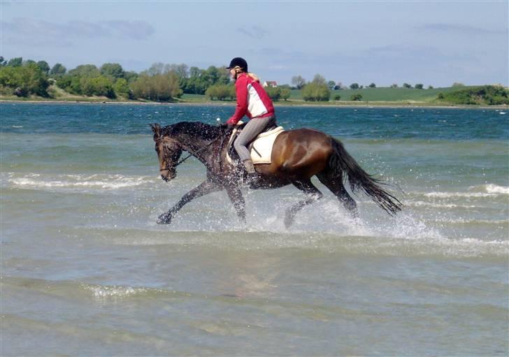 Oldenborg zita - Tjae, hvem sagde hun ikke kunne løfte benene ??? haha :D billede 8