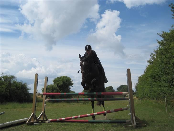 Oldenborg zita billede 10