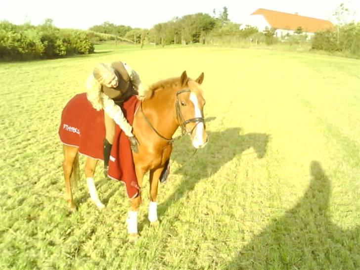 DSP Amie - efter træning billede 8