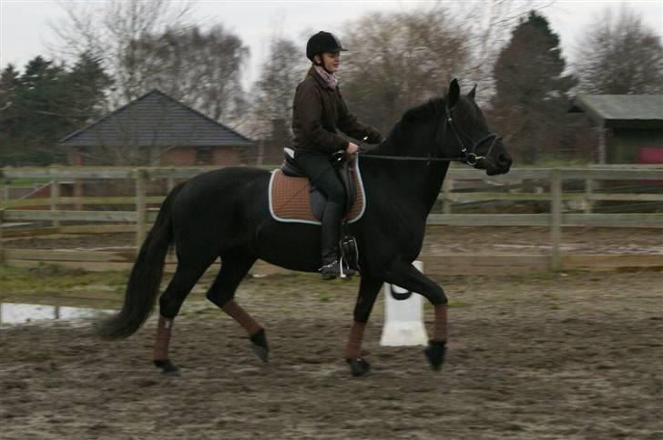 Anden særlig race Tøsen (solgt) - Jeg ved godt at hun ikke går helt optilmalt med hovedet. Men synes faktisk at det er et godt billede alligevel :D Foto: Julie B billede 2