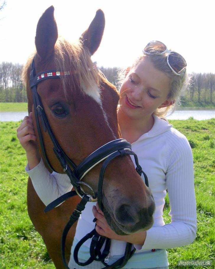 Anden særlig race Mr. Magic B-pony SOLGT - Magic og mig :) billede 2