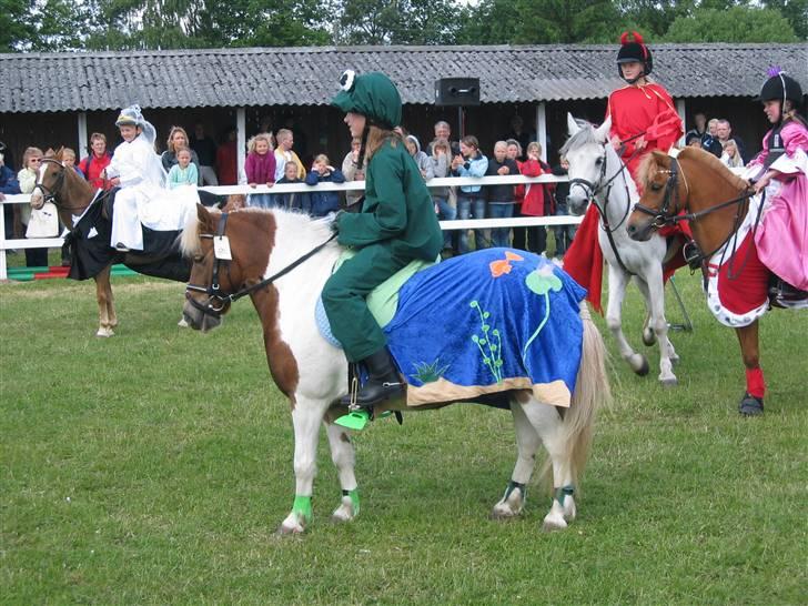 Anden særlig race Matros - os til præmieoverrakkelse i kosumespringning på dyrskuet.  (vi fik en 1. plads) hihi billede 11