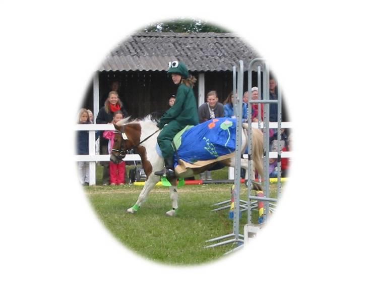 Anden særlig race Matros - os der springer på dyrskuet. Jeg var frø og han var en sø... hihi. kreativt ikk?? :p billede 12