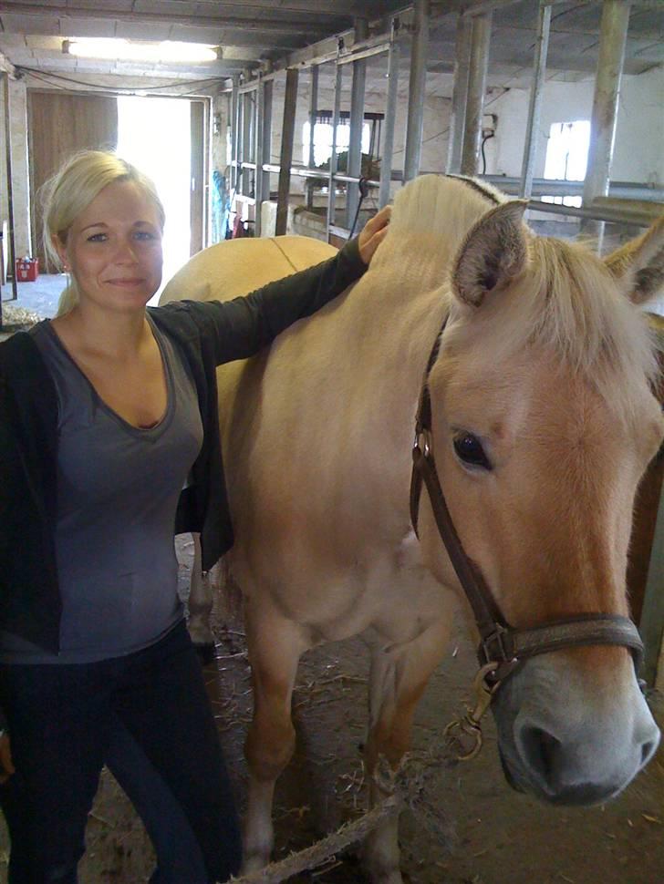 Fjordhest Liv  -   RIP :´( billede 1