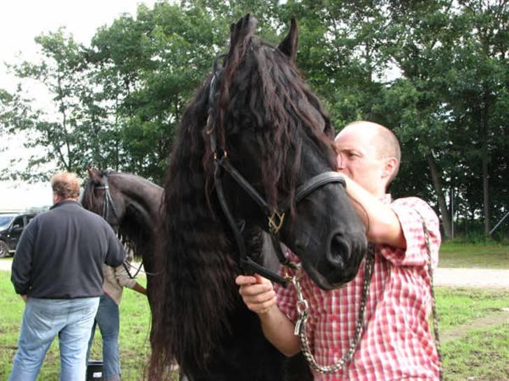 Frieser gart gejlbjerg - gart og frieserfrank st hestedag billede 12