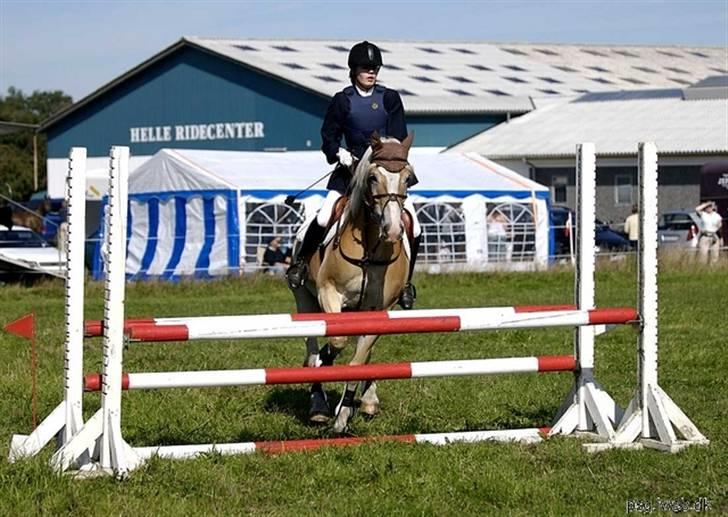 Tyroler Haflinger Nocturne Lundgaard - Helle rideklub 2006 LC spring. Lidt sjovt billed:) billede 17