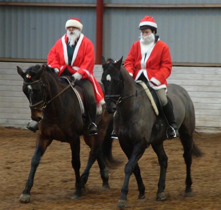 Anden særlig race Masetto - Pas de deux med Majse og Manon til vores julestævne i år, er vi ikke fine??? billede 20