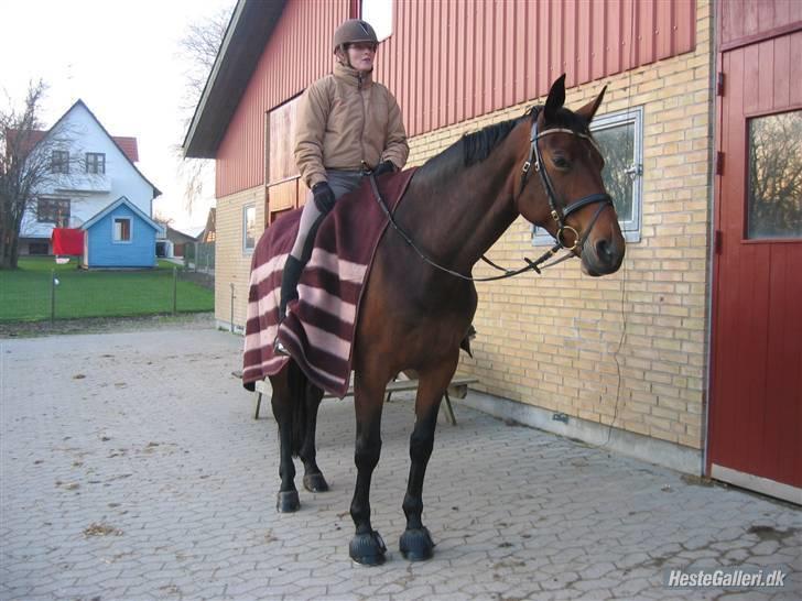 Oldenborg Jaqueline vaseskov - Dulle dec o7 billede 16