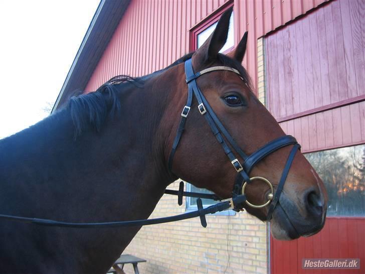 Oldenborg Jaqueline vaseskov - Er jeg ikke dejlig? billede 17