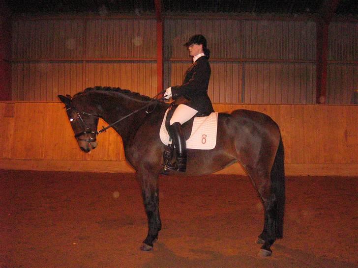 Oldenborg Jaqueline vaseskov - Klubmester dressur AAGS 2006 med 70,4% 1. Jaquelines 1. stævne. Redet 2,5 mdr. billede 18