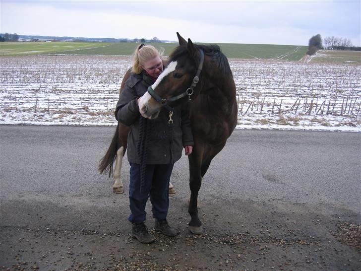 Hannoveraner schang RIP  - Er sendt på ferie hos min svigerinde for at blive i godt humør igen og står lige og hykke med min mor inden hun  kører hjem igen  billede 1