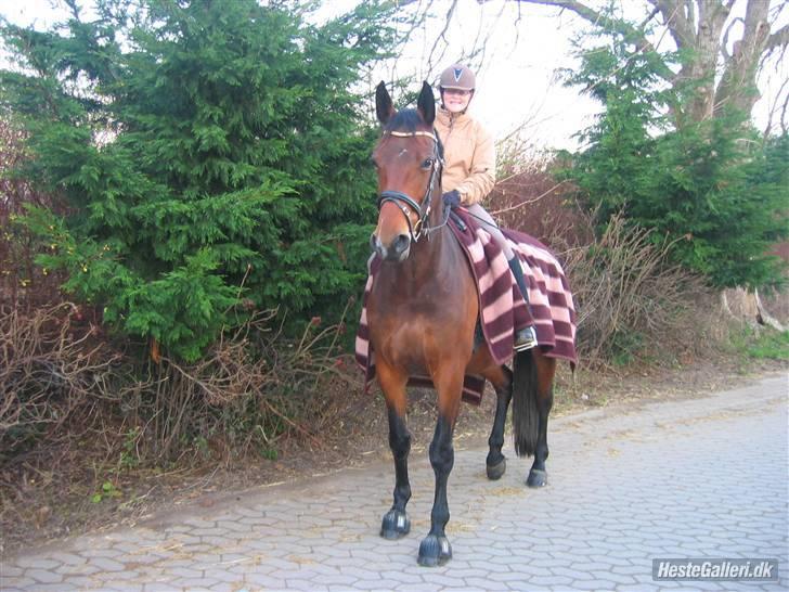 Oldenborg Jaqueline vaseskov billede 20