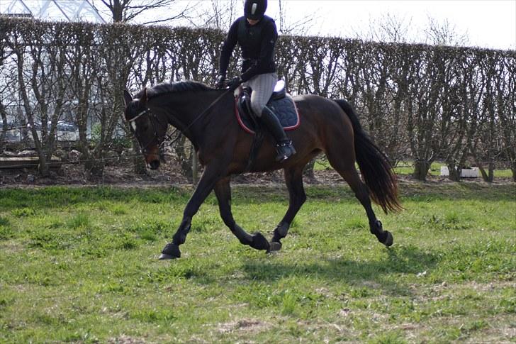 Oldenborg zita billede 19