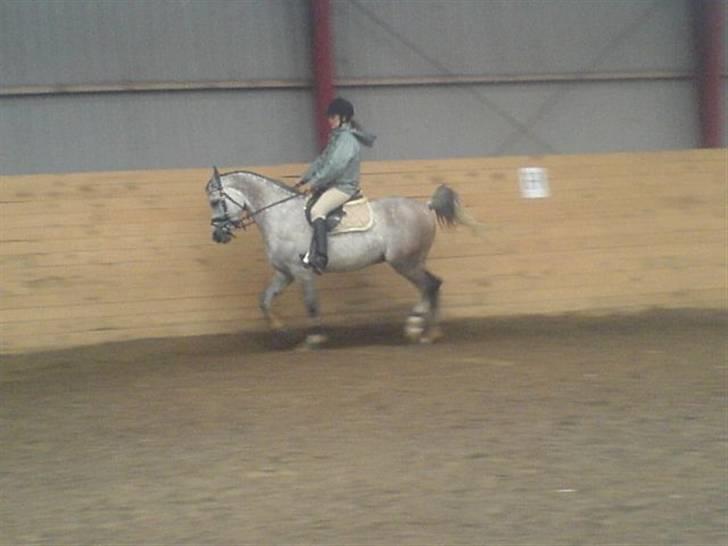 Sportsaraber (A) Zhazir Ibn Malik billede 2