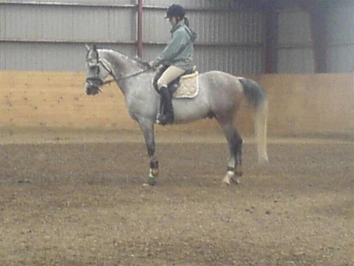 Sportsaraber (A) Zhazir Ibn Malik billede 3