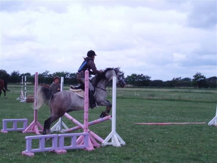Sportsaraber (A) Zhazir Ibn Malik - Første gang jeg springer ham :) billede 6