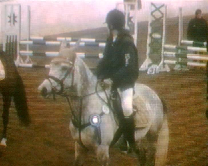 Sportsaraber (A) Zhazir Ibn Malik - Stævne TJR .. Anden plads.  billede 8