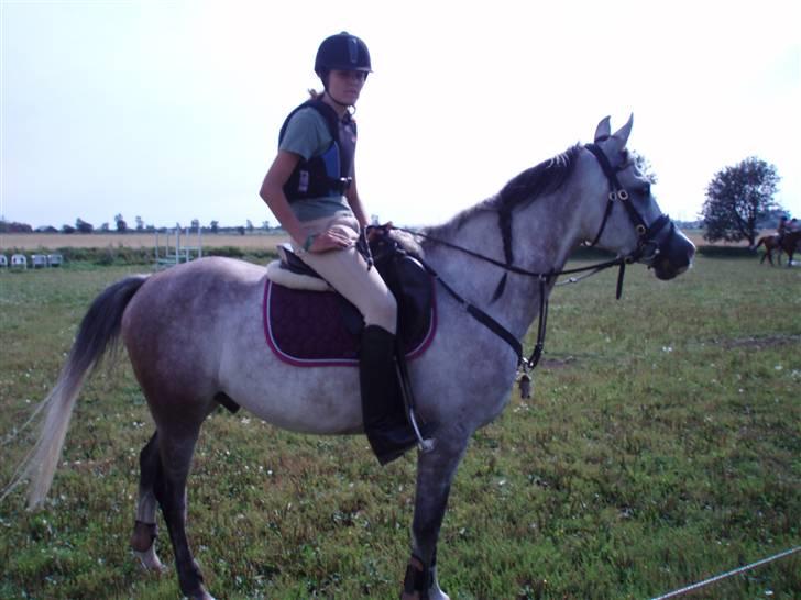 Sportsaraber (A) Zhazir Ibn Malik - Inden springundervisning. billede 9