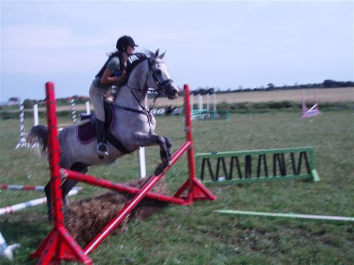 Sportsaraber (A) Zhazir Ibn Malik - Anden gang jeg sprang ham. billede 11