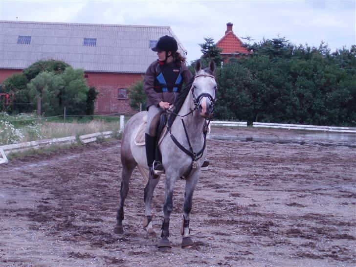 Sportsaraber (A) Zhazir Ibn Malik billede 12