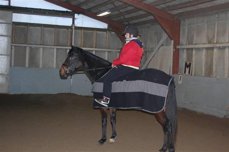 Fuldblod (XX) Lord De Luxe  *Passer* - anden gang jeg sidder på Luxe´manden Ih så dygtig han er :D billede 4