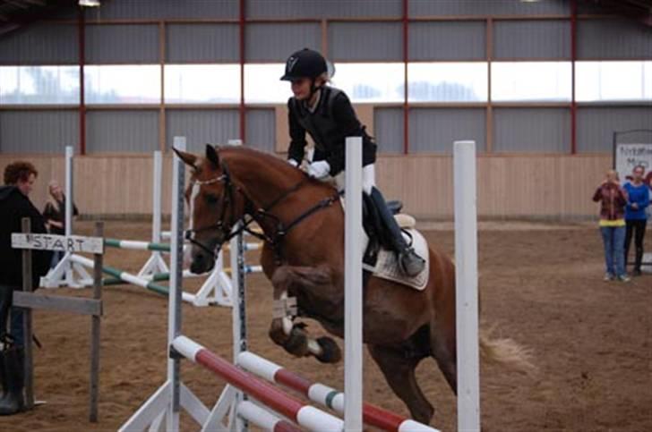 Anden særlig race Malhøj's Prinsess[Tidl. hest] - Prinsess og mig i en LD i NMRC <3 3. plads  Alle billederne i profilen er ret så gamle! Hun er bedre nu! billede 5