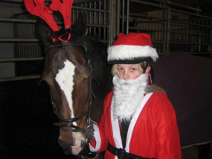 Anden særlig race Sunshine - miig og sunshine billede 6