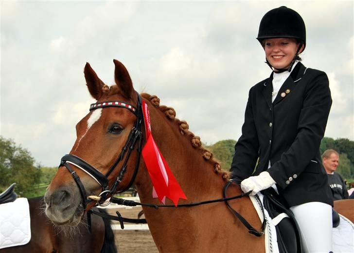 Anden særlig race Mr. Magic B-pony SOLGT - Vestegnesmester d.7/9 2008  billede 5