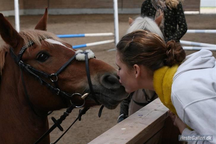Anden særlig race Mr. Magic B-pony SOLGT - Rulle og Magic der kysser :P billede 6